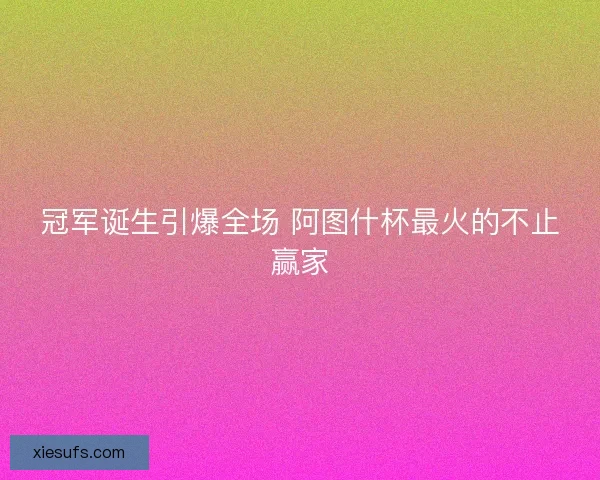 冠军诞生引爆全场 阿图什杯最火的不止赢家 冠军诞生引爆全场 阿图什杯最火的不止赢家