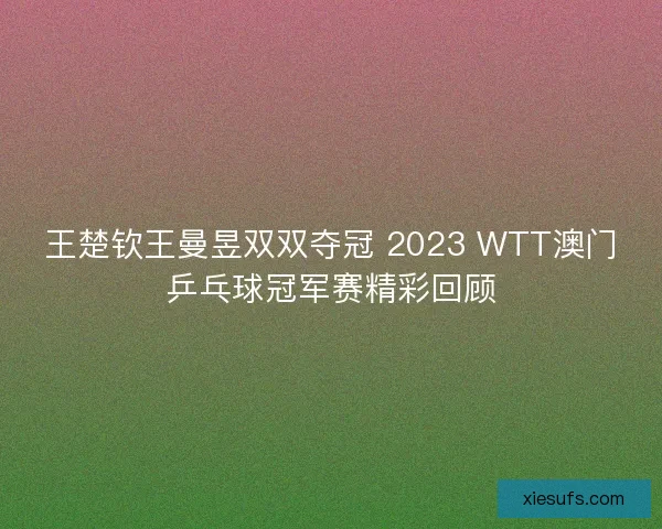 王楚钦王曼昱双双夺冠 2023 WTT澳门乒乓球冠军赛精彩回顾 王楚钦王曼昱双双夺冠 2023 WTT澳门乒乓球冠军赛精彩回顾